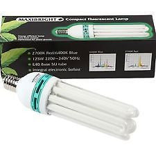 Maxibright 125w E40 CFL Grow Light - 2700k Red Flowering