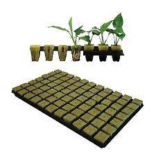 Cultilene 18X 36mm SBS ROCKWOOL PROPAGATION GROW CUBES TRAY OF 77 HYDROPONICS