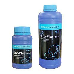 OXYPLUS 1L