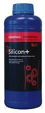 SILICON + 1L