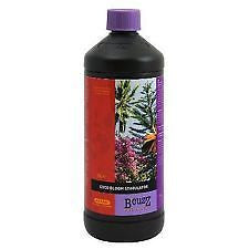 B'Cuzz Atami Coco Bloom Stimulator 1L Hydro BCUZZ Explosive Flower Production