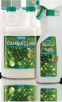 cannacure 1