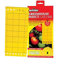 INSECT CATCHER GREEN HOUSE HYDROPONICS