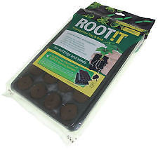 Rootit Cubes Tray of 24