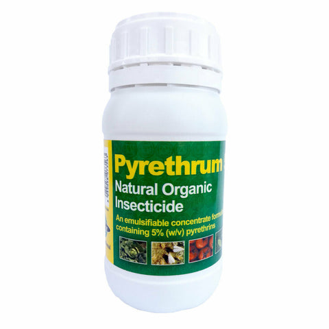 Pyrethrum 5EC Organic Insecticide 250ml